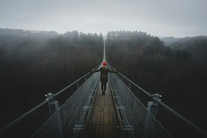 brown wooden bridge over the river
